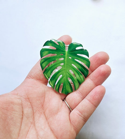 Plants pop socket