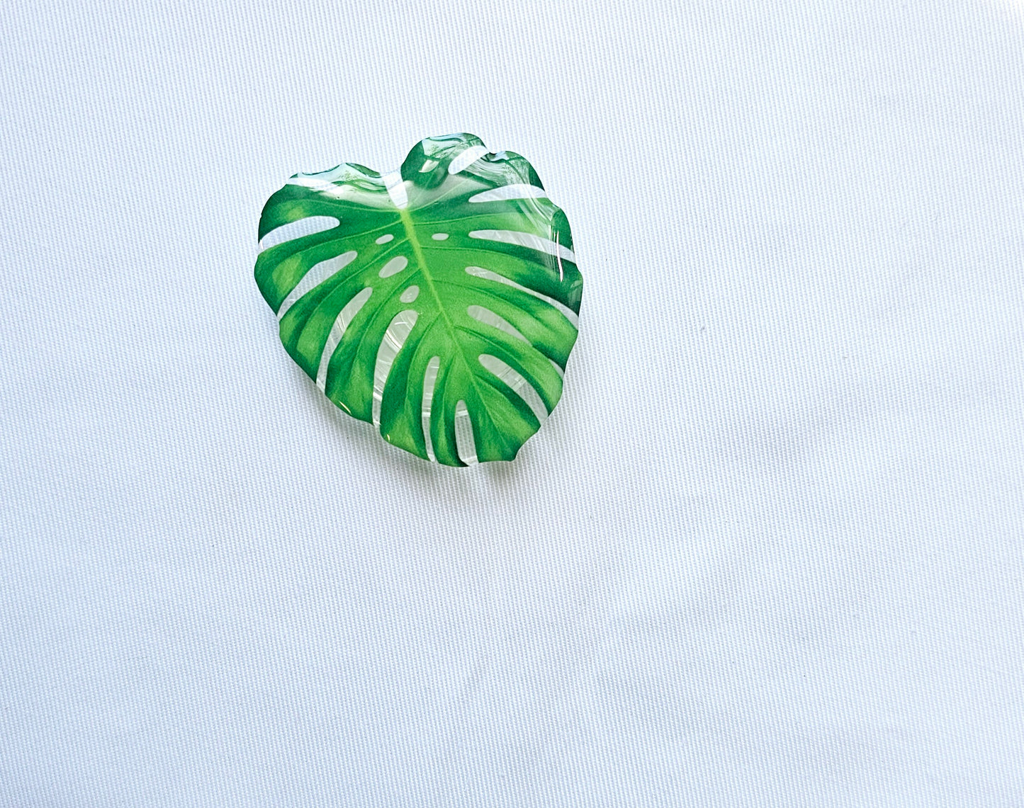 Plants pop socket