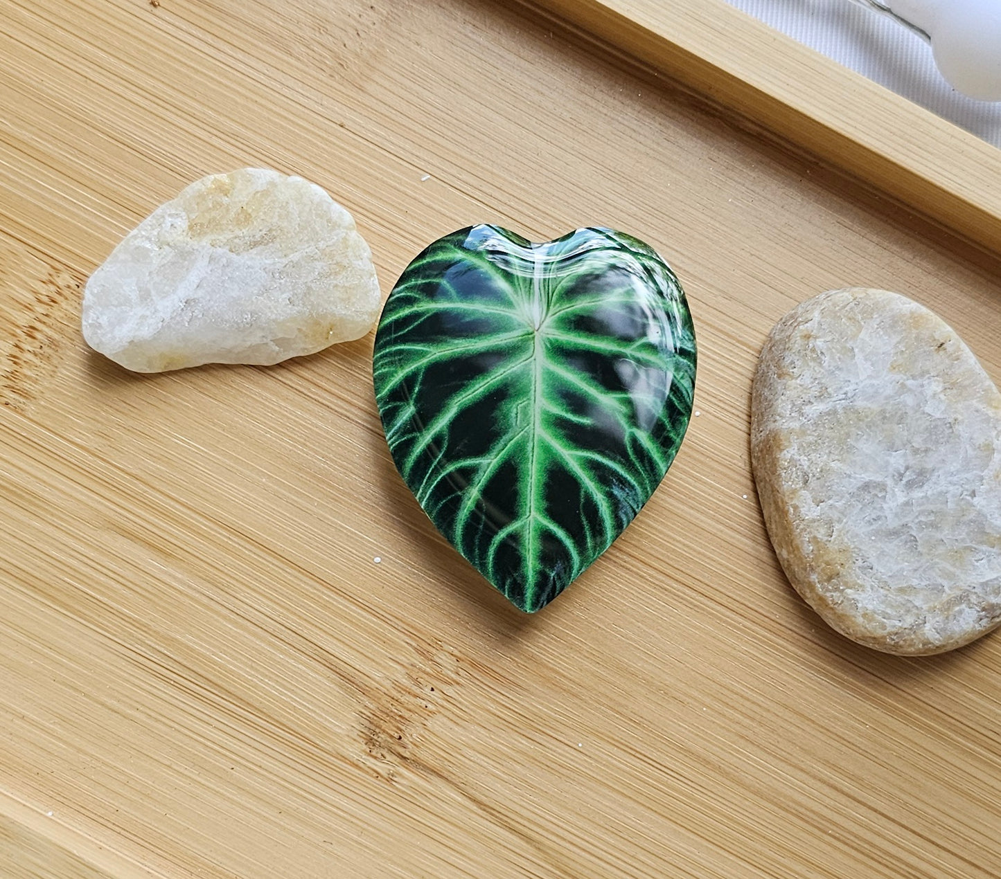 Plants pop socket