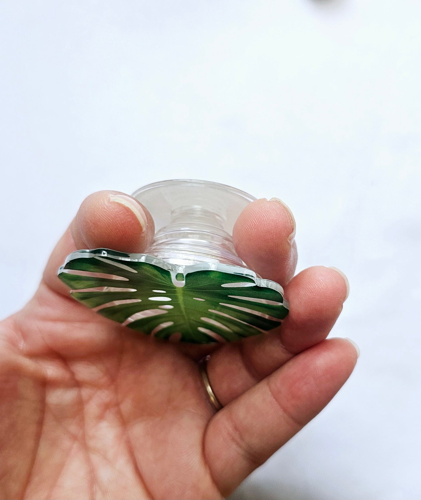 Plants pop socket