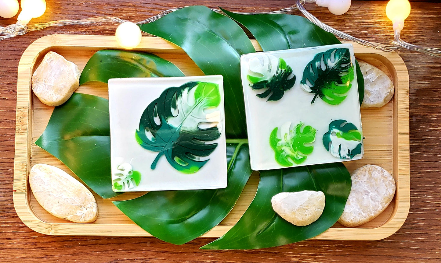 Monstera Coasters