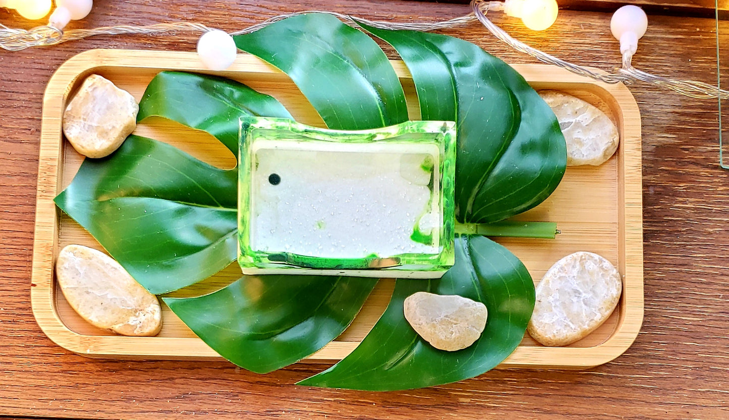 Monstera Coasters