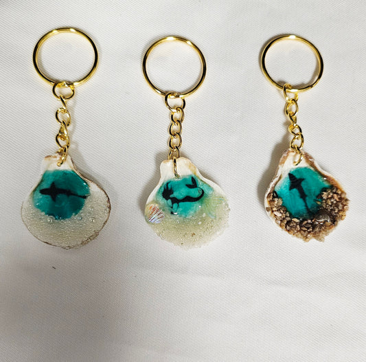 Sea shell keychains