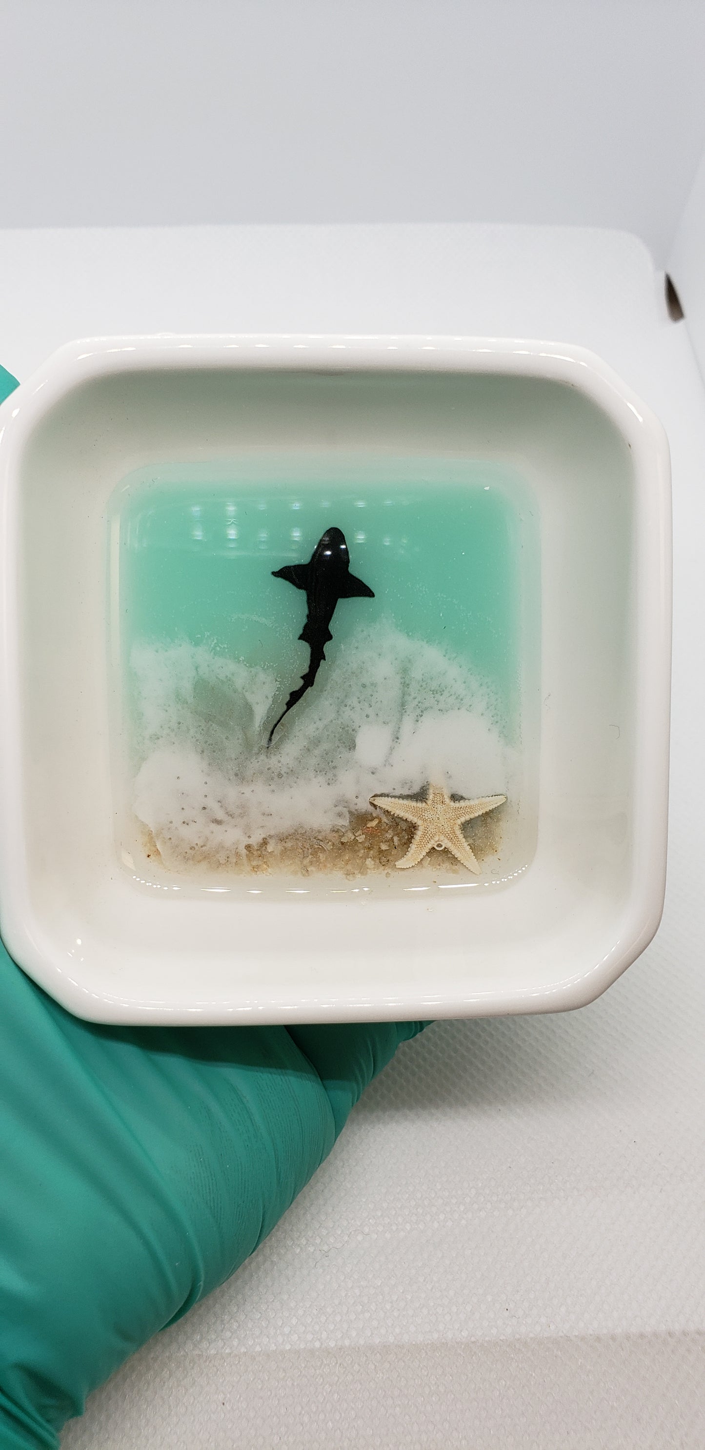 Ceramic jewelry dish/ beach scene/tray